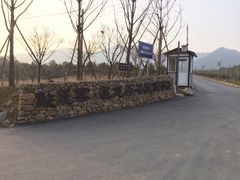 -帐篷客·溪龙茶谷度假酒店