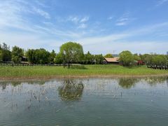 -苏州太湖湖滨国家湿地公园