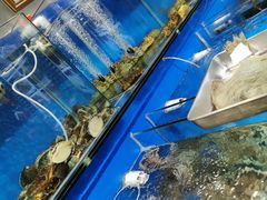 水产区-永红源·啤酒烧烤海鲜大排档(台柳路店)