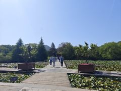 -白马涧龙池景区