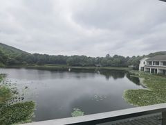 -苏州环秀晓筑养生度假村