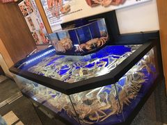 大堂-蟹道乐(道顿堀本店)