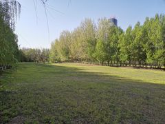 -长白岛森林公园