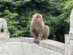 -黔灵山公园