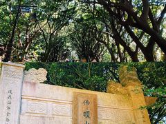 -普陀山慧济禅寺