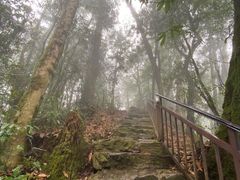-云南屏边大围山国家公园