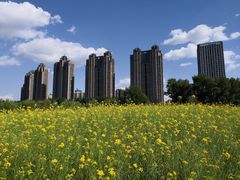 -长白岛森林公园