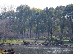 -上海海湾国家森林公园