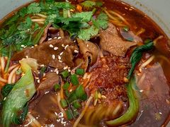 一品麻辣肥肠面-一品小笼(金融街店)