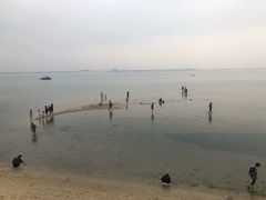-北海金海湾红树林生态旅游区