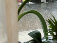 -十一咖啡(青年大街工厂店)
