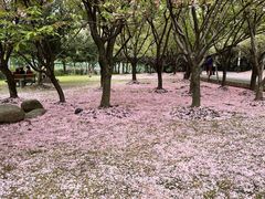 -苏州河梦清园环保主题公园