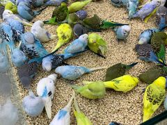 -三旗百汇商品城