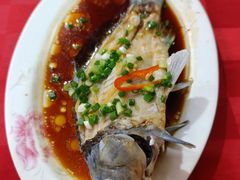 -先鲜鲫鱼粥