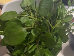 -同仁四季椰子鸡(福田东园总店)