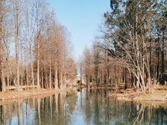 -西溪国家湿地公园