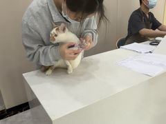 -瑞鹏宠物医院·骨外科·心肾科·肿瘤科(九亭店)