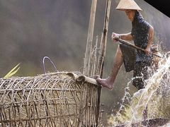 -后湖小院·乡野田园菜