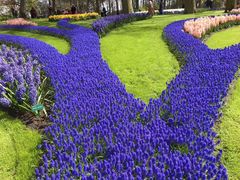 -库肯霍夫公园
