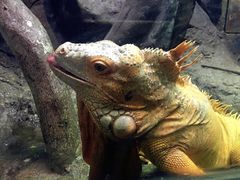 -福州罗源湾海洋世界旅游区