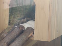 -青藏高原野生动物园