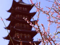 -上海方塔园