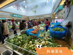 -科巷菜场