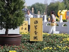 -中国翰园碑林