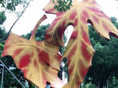 -白塘生态植物园