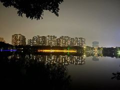 -南翔镇银翔湖公园