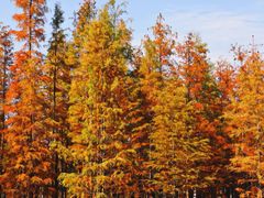 -白鹭湾湿地公园