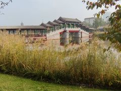 -西海子公园