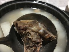-张记旺角食街(动物园店)