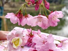 -梁鸿国家湿地公园