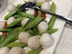-丁老爷子苏香圆