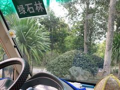 -中国科学院西双版纳热带植物园