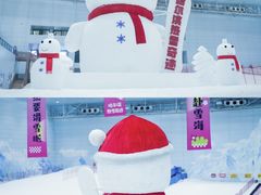 -哈尔滨热雪奇迹