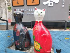 -猫咪博物馆(顶澳仔猫街店)
