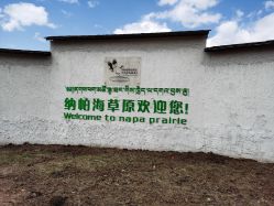 -纳帕海依拉草原
