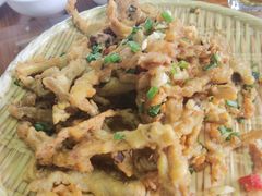 -杨厝六十六农庄农舍(杨厝路店)