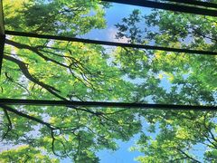 -水云空涧·沐足·采耳·按摩·SPA影院(琶洲店)