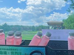 -北京京辉高尔夫俱乐部有限公司