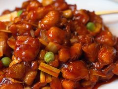 -峨嵋酒家 南北川菜 优选烤鸭(广渠路店)