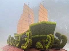-南山植物园