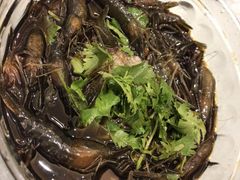 本帮醉大虾-申宴酒楼(王子百货店)