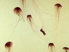 -沈阳海洋探索中心