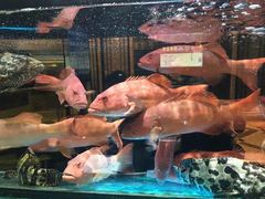 -金翠皇宫粤菜·点心·海鲜(科技园店)