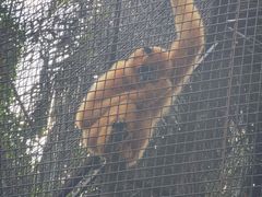 -海南热带野生动植物园