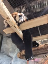 -Zoolung Zoolung动物主题公园(海信广场店)