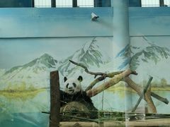 -南宁市动物园